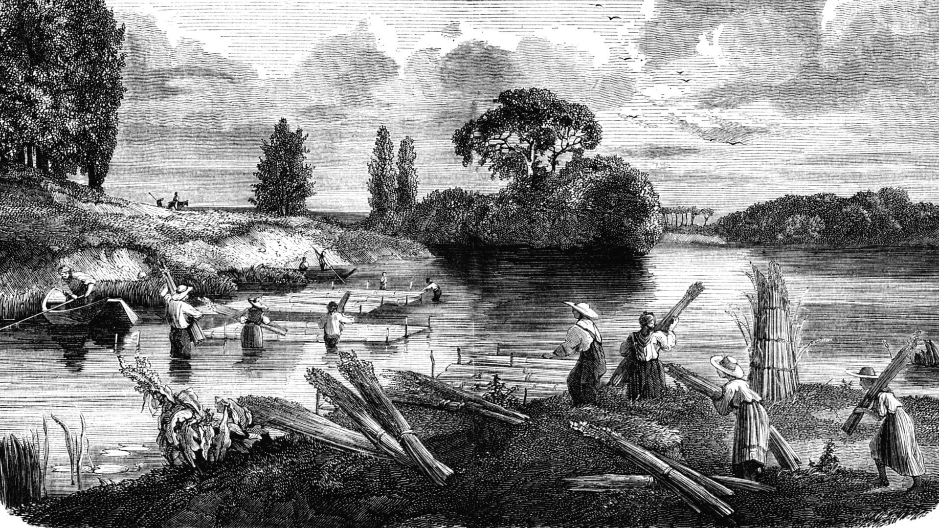 The swampy ground that LaSalle Street was built on